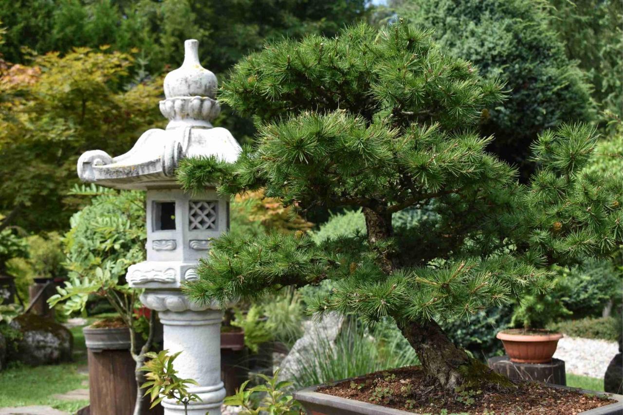 SrokowoOgrod Shinrin Yoku别墅 外观 照片